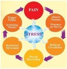 chronic myofascial pain – Stress Cycle