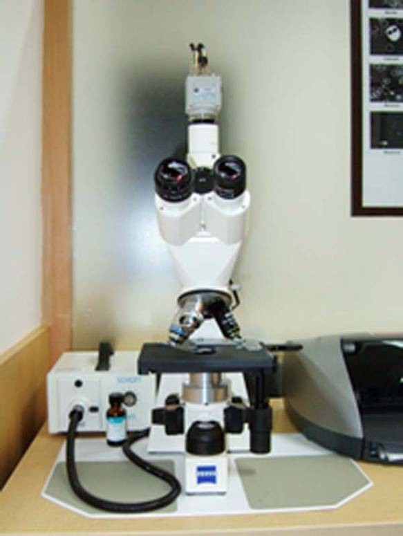 Darkfield Microscope