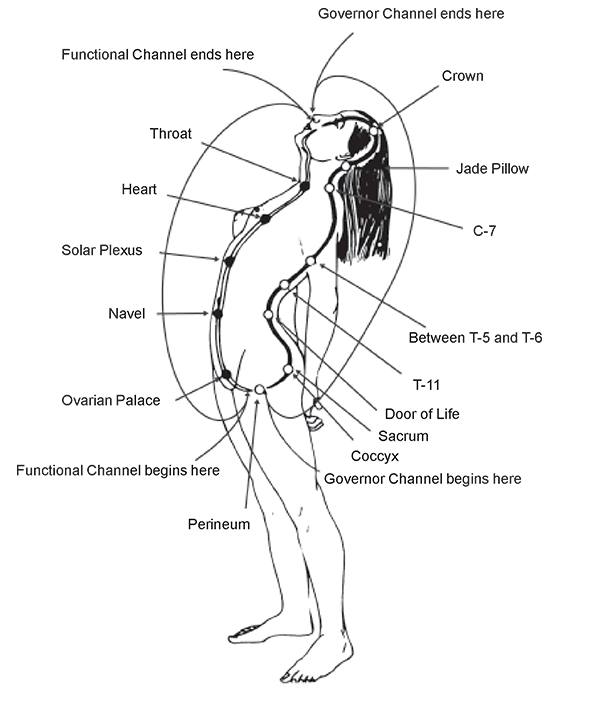 Microcosmic Orbit Channels